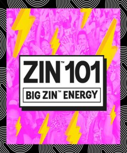 [Hot Sale]2022 New dance courses ZIN ZUMBA 101 HD DVD+CD