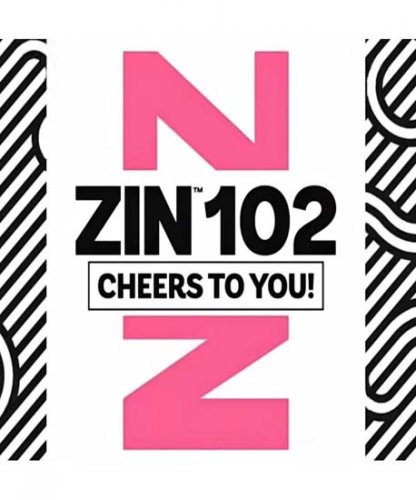 [Hot Sale]2022 New dance courses ZIN ZUMBA 102 HD DVD+CD